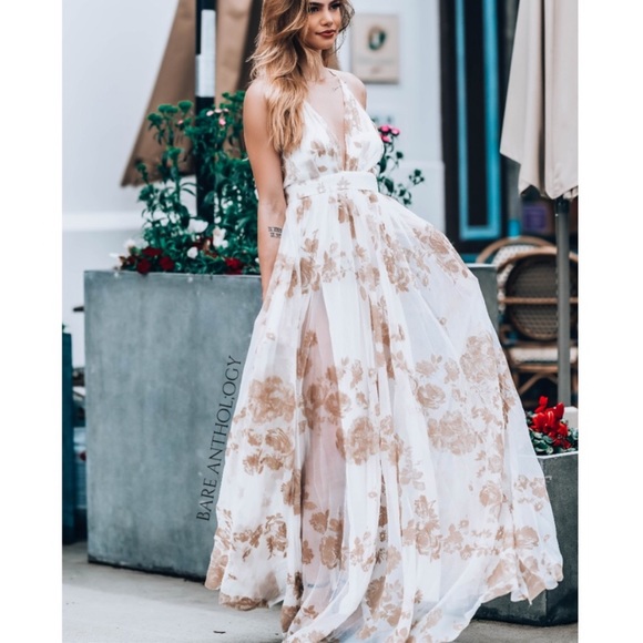 💜NWT Stunning Tulle/Beige Velvet Maxi - Picture 3 of 6